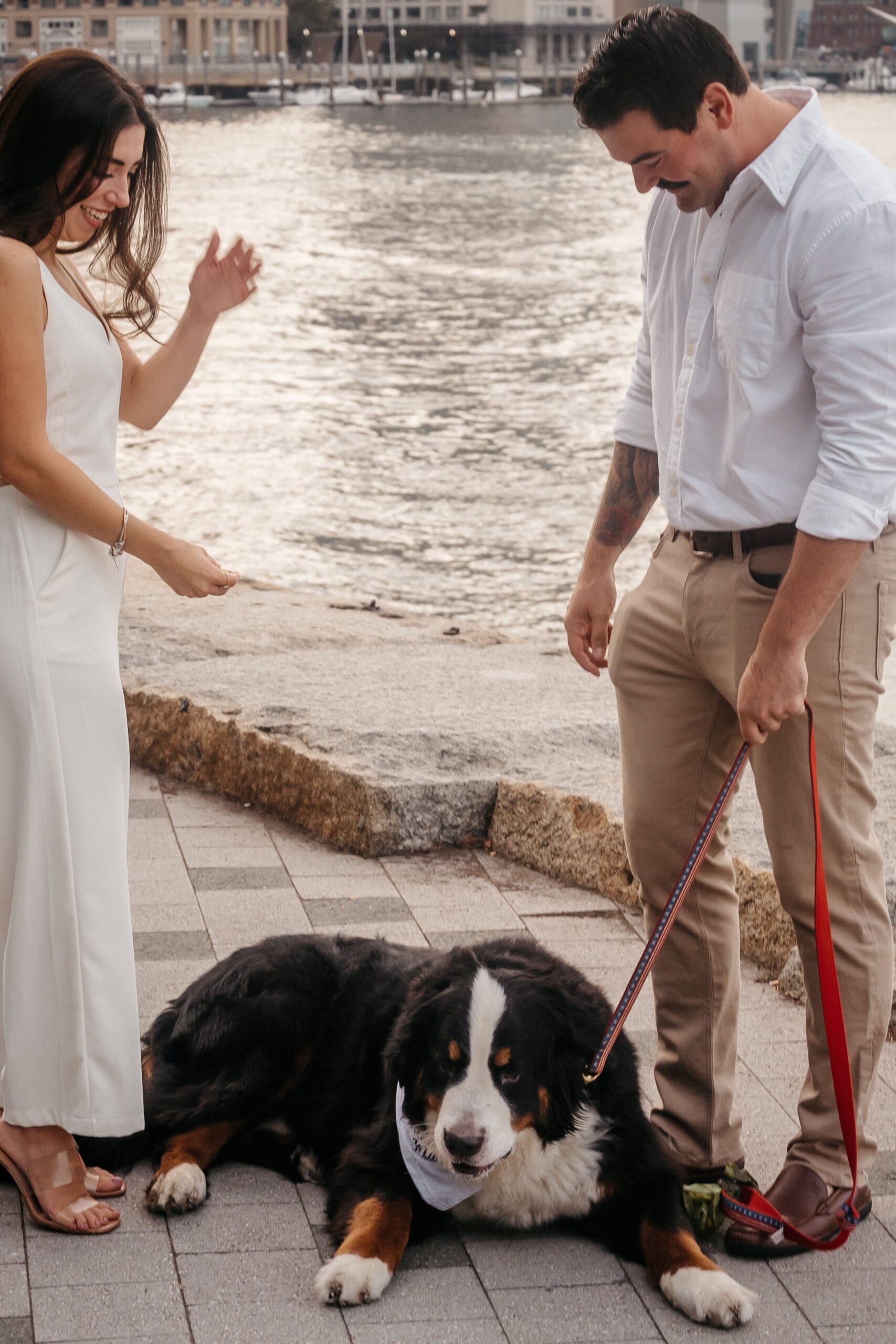 Playful moment with dog during Fan Pier Park engagement session in Boston, candid waterfront scene at sunset