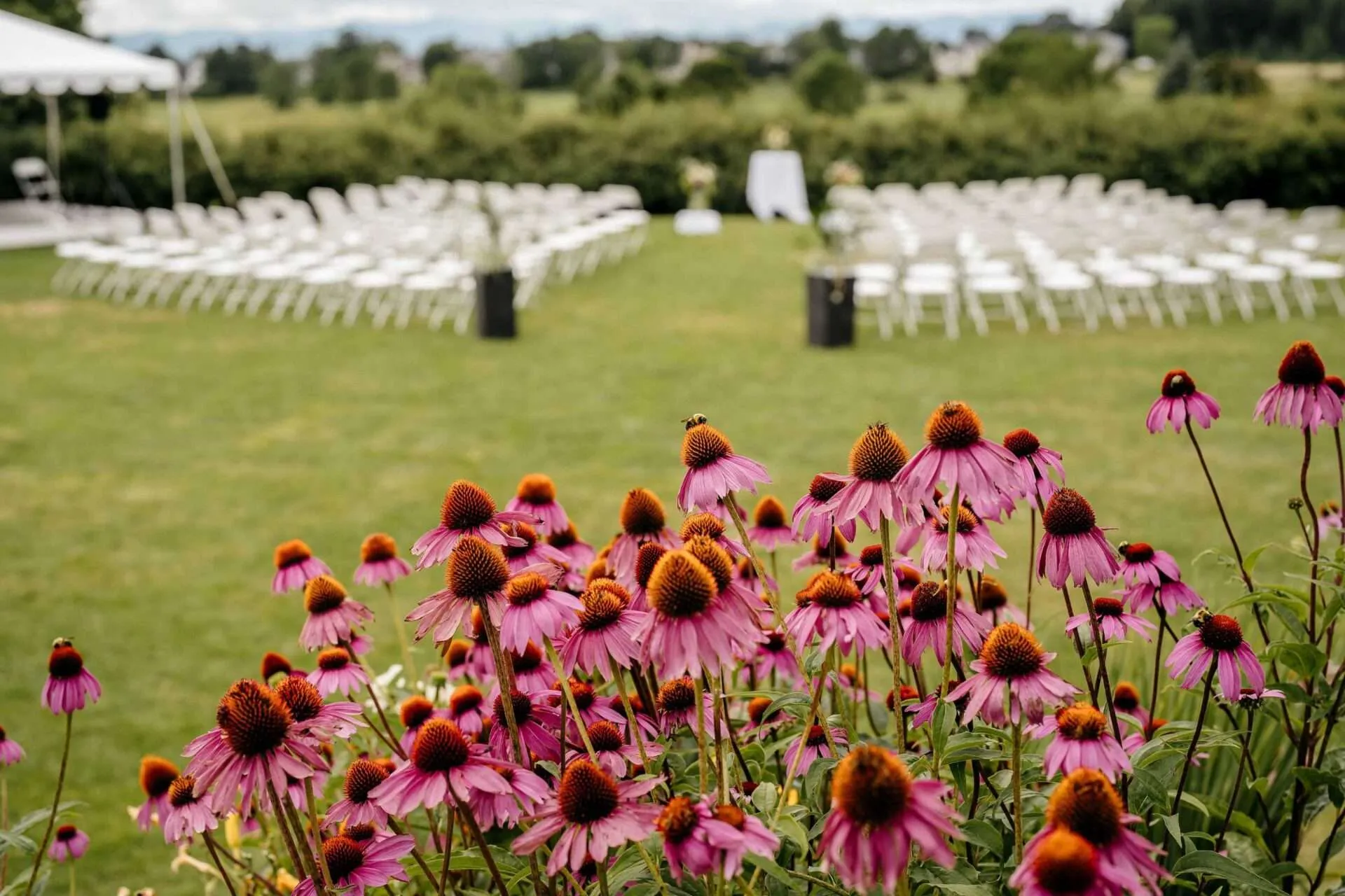 outdoor wedding ceremony boston